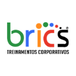BRICS TREINAMENTOS